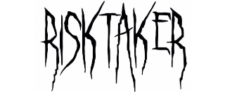 RISKTAKER LLC